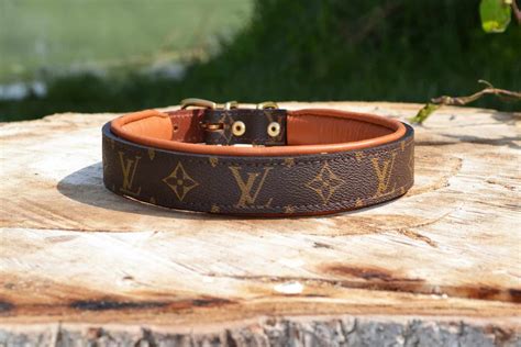 small dog lv dupe collar.